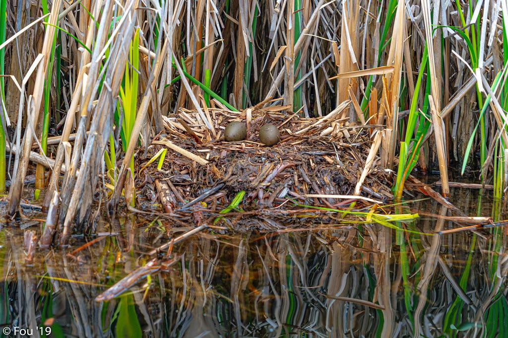 FOU02529-Pano.jpg by Murray Foubister is licensed under CC BY-SA 2.0